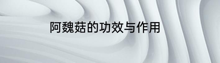 阿魏菇的功效与作用