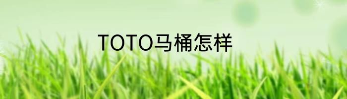 TOTO马桶怎样