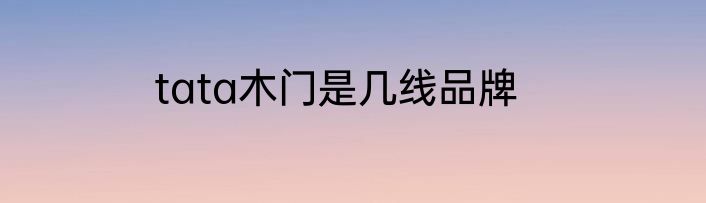 tata木门是几线品牌