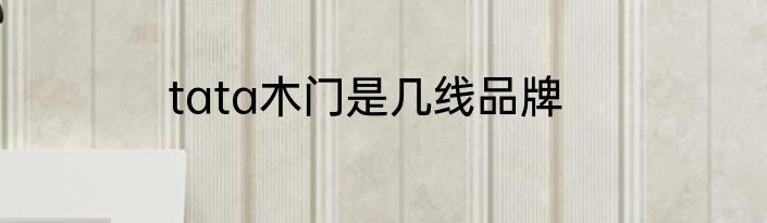 tata木门是几线品牌