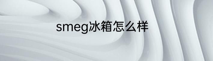 smeg冰箱怎么样