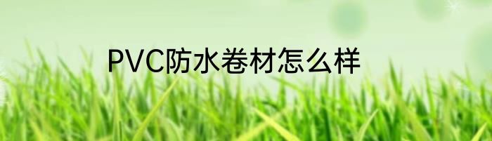 PVC防水卷材怎么样