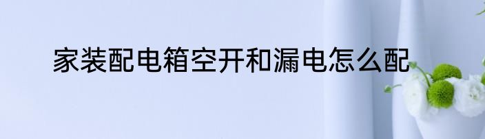 家装配电箱空开和漏电怎么配
