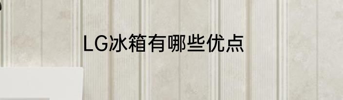 LG冰箱有哪些优点