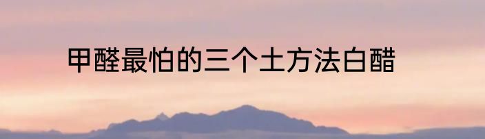 甲醛最怕的三个土方法白醋