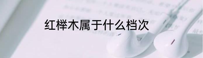 红榉木属于什么档次
