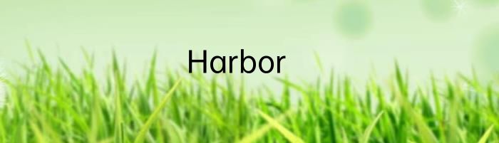 Harbor