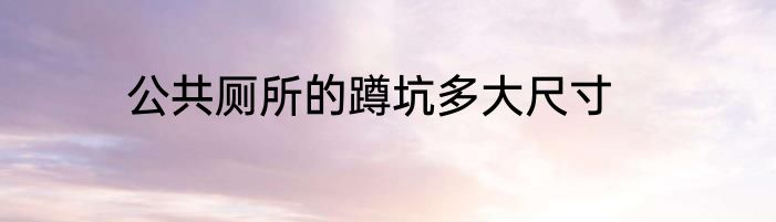 公共厕所的蹲坑多大尺寸