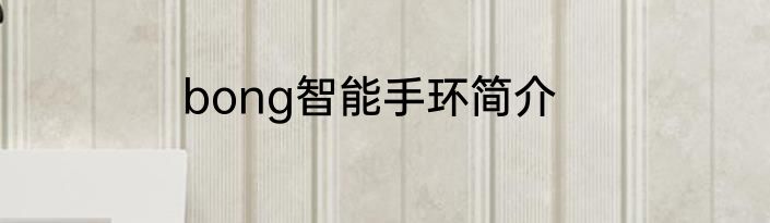 bong智能手环简介