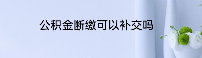 公积金断缴可以补交吗