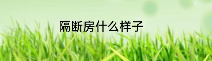 隔断房什么样子