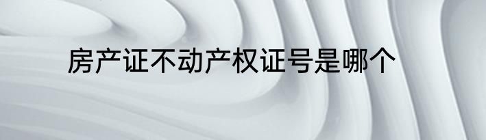 房产证不动产权证号是哪个
