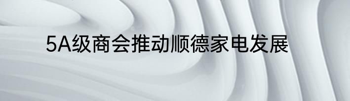 5A级商会推动顺德家电发展
