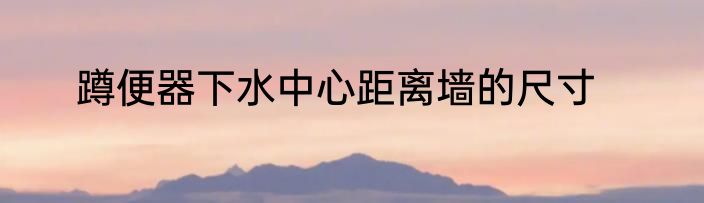 蹲便器下水中心距离墙的尺寸