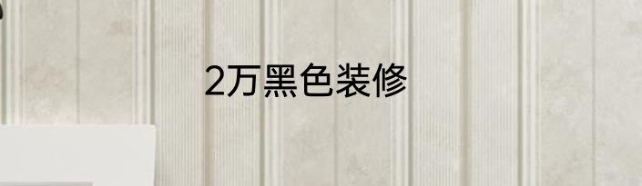 2万黑色装修