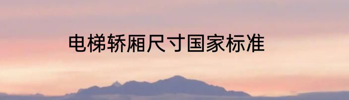 电梯轿厢尺寸国家标准