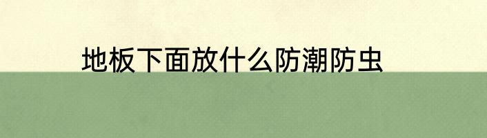 地板下面放什么防潮防虫