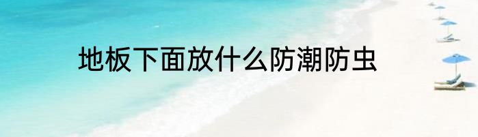 地板下面放什么防潮防虫