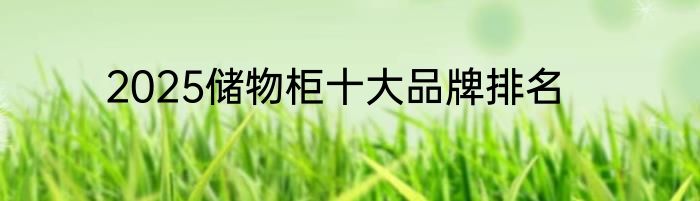 2025储物柜十大品牌排名