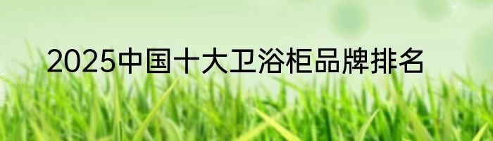 2025中国十大卫浴柜品牌排名