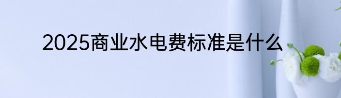 2025商业水电费标准是什么