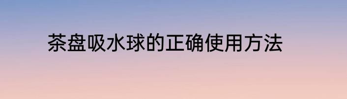 茶盘吸水球的正确使用方法
