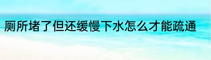 厕所堵了但还缓慢下水怎么才能疏通