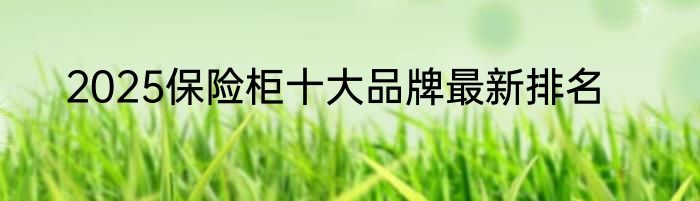 2025保险柜十大品牌最新排名