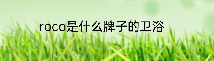 roca是什么牌子的卫浴