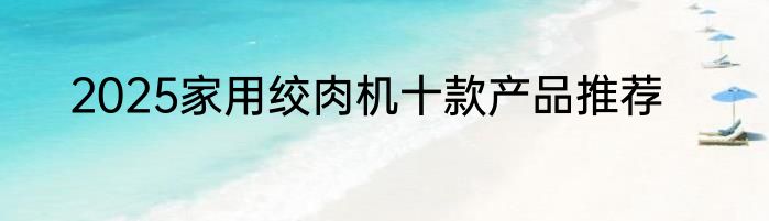 2025家用绞肉机十款产品推荐