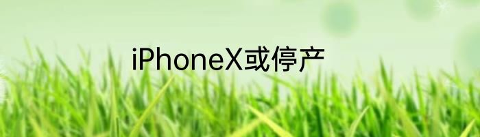 iPhoneX或停产