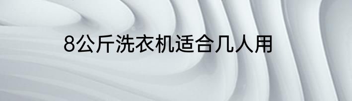 8公斤洗衣机适合几人用