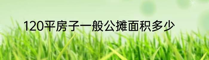 120平房子一般公摊面积多少