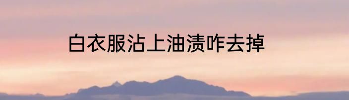 白衣服沾上油渍咋去掉