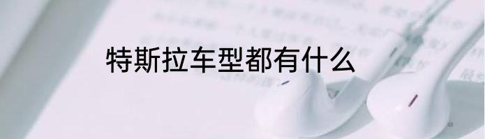 特斯拉车型都有什么