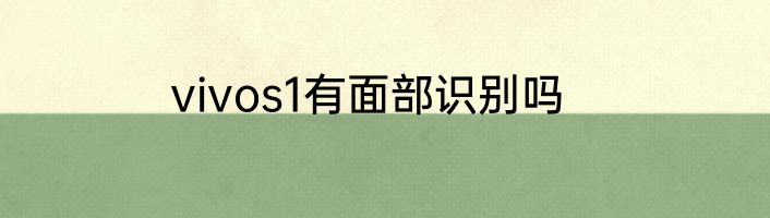 vivos1有面部识别吗