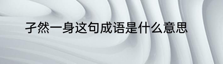 孑然一身这句成语是什么意思