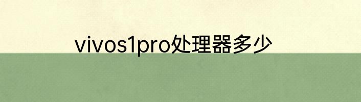 vivos1pro处理器多少