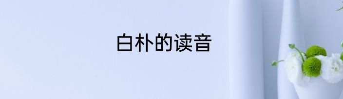 白朴的读音