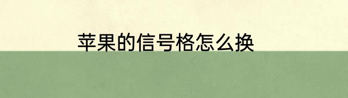 苹果的信号格怎么换