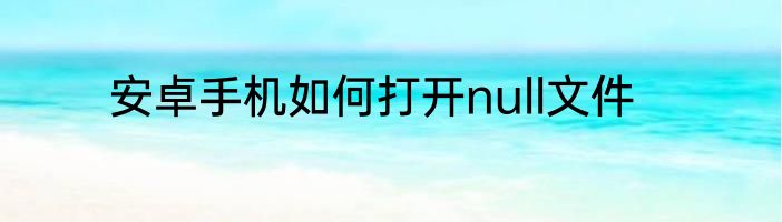 安卓手机如何打开null文件