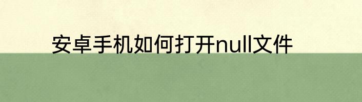 安卓手机如何打开null文件