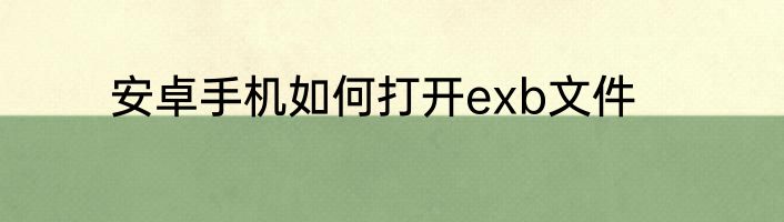 安卓手机如何打开exb文件