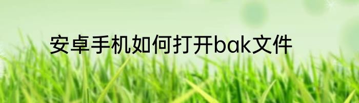 安卓手机如何打开bak文件