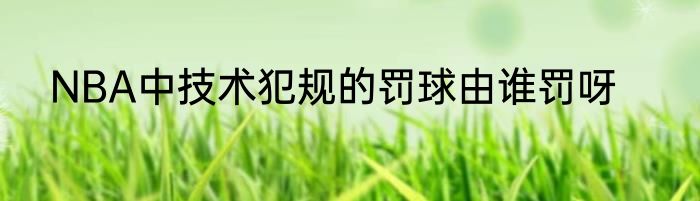 NBA中技术犯规的罚球由谁罚呀