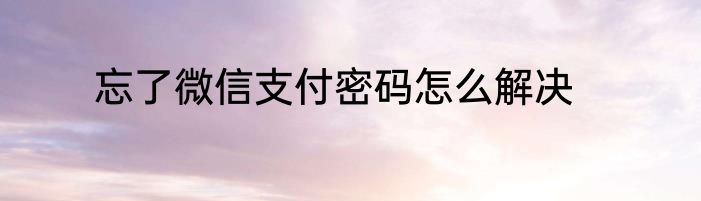 忘了微信支付密码怎么解决