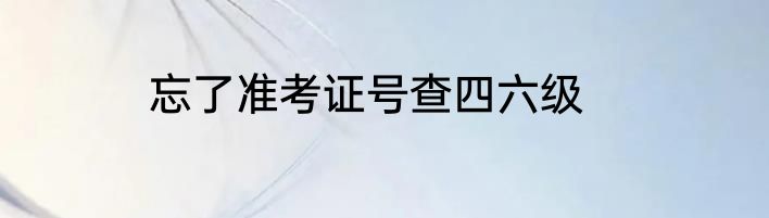 忘了准考证号查四六级