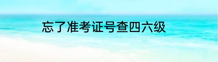 忘了准考证号查四六级