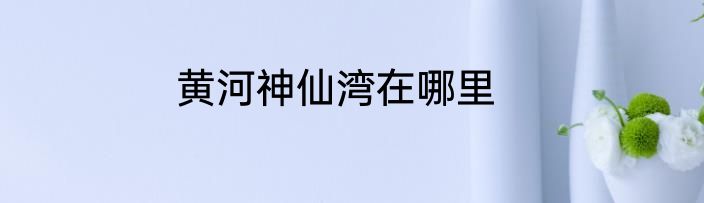 黄河神仙湾在哪里