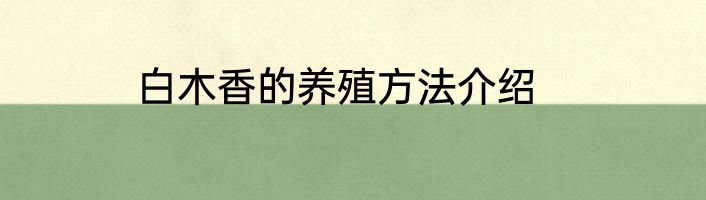 白木香的养殖方法介绍
